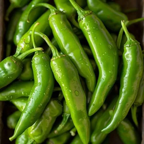 pro_a6f_Green-chili.webp